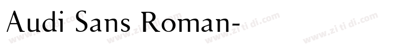 Audi Sans Roman字体转换